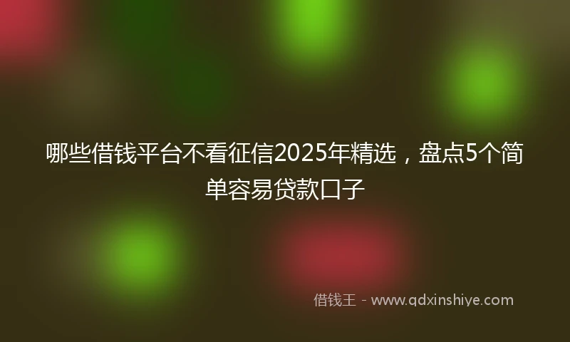 哪些借钱平台不看征信2025年精选，盘点5个简单容易贷款口子