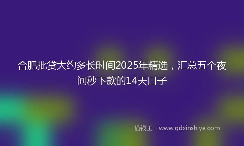 合肥批贷大约多长时间2025年精选，汇总五个夜间秒下款的14天口子