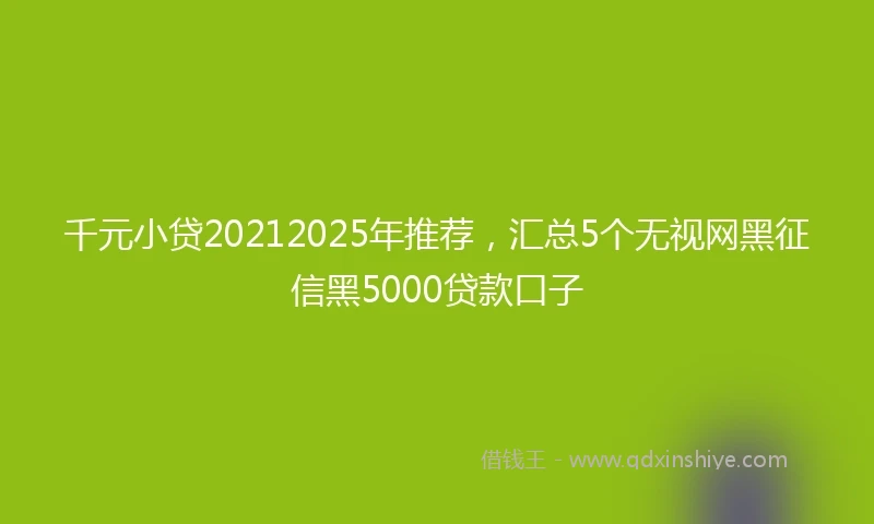 千元小贷20212025年推荐，汇总5个无视网黑征信黑5000贷款口子