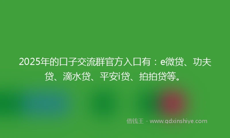 2025年的口子交流群官方入口有：e微贷、功夫贷、滴水贷、平安i贷、拍拍贷等。