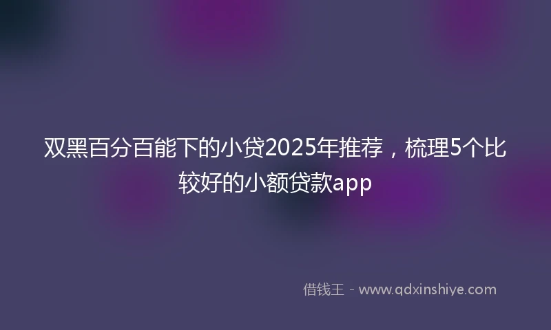 双黑百分百能下的小贷2025年推荐，梳理5个比较好的小额贷款app