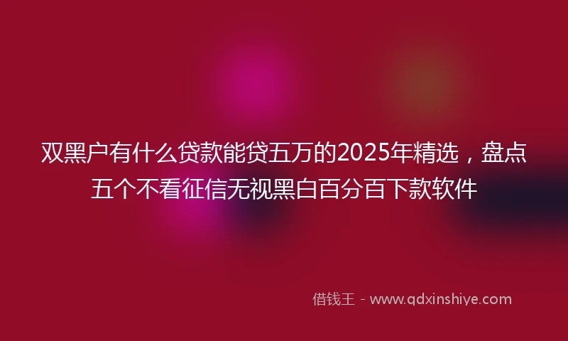 双黑户有什么贷款能贷五万的2025年精选，盘点五个不看征信无视黑白百分百下款软件