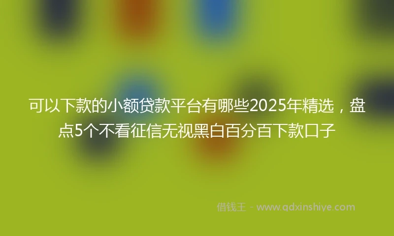 可以下款的小额贷款平台有哪些2025年精选，盘点5个不看征信无视黑白百分百下款口子