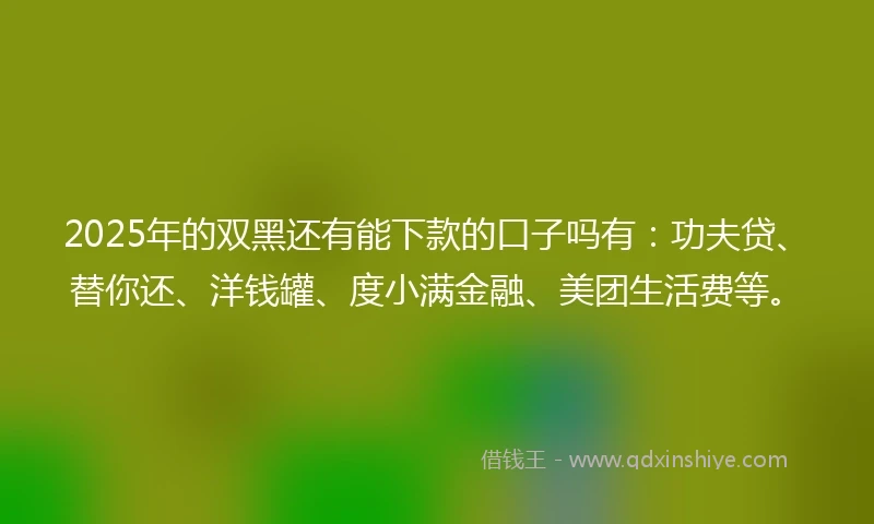 2025年的双黑还有能下款的口子吗有：功夫贷、替你还、洋钱罐、度小满金融、美团生活费等。