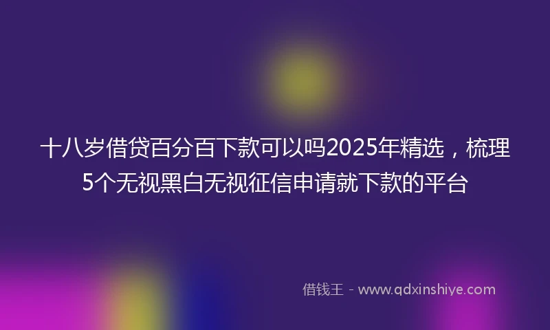 十八岁借贷百分百下款可以吗2025年精选，梳理5个无视黑白无视征信申请就下款的平台