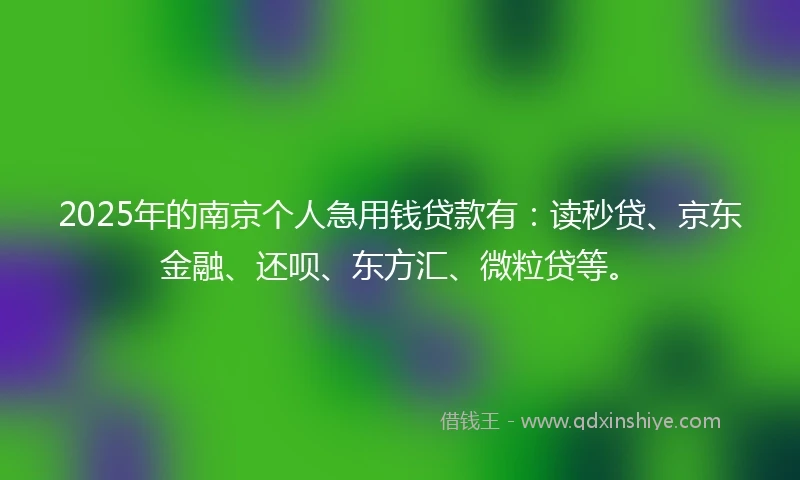 2025年的南京个人急用钱贷款有：读秒贷、京东金融、还呗、东方汇、微粒贷等。