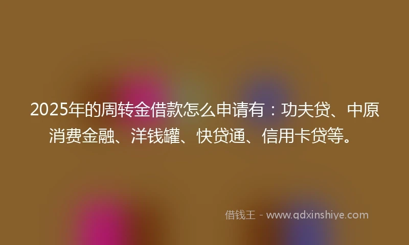 2025年的周转金借款怎么申请有：功夫贷、中原消费金融、洋钱罐、快贷通、信用卡贷等。
