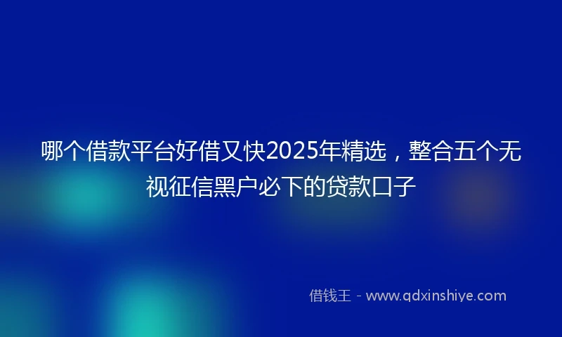 哪个借款平台好借又快2025年精选，整合五个无视征信黑户必下的贷款口子