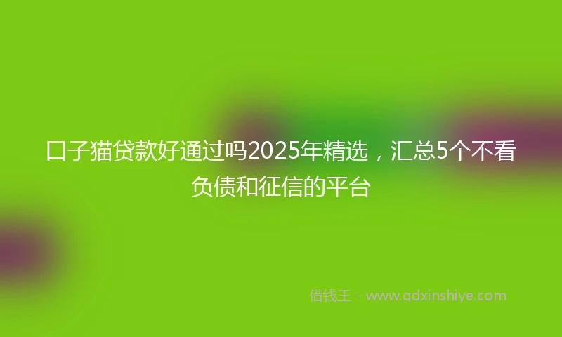 口子猫贷款好通过吗2025年精选，汇总5个不看负债和征信的平台