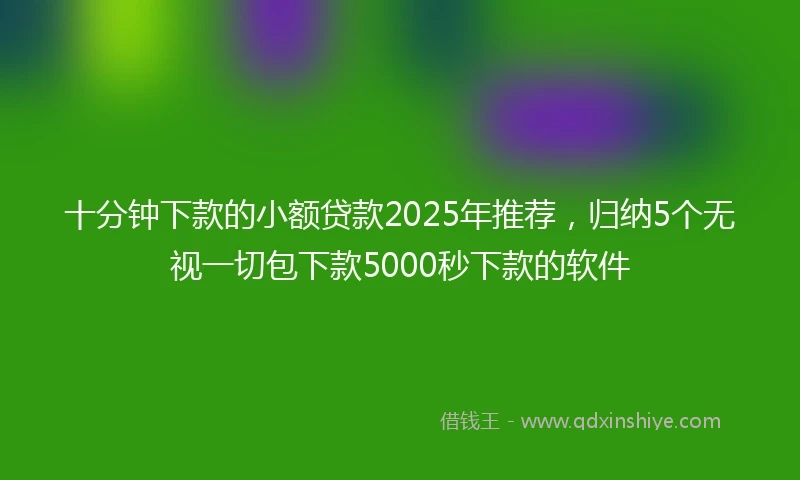 十分钟下款的小额贷款2025年推荐，归纳5个无视一切包下款5000秒下款的软件