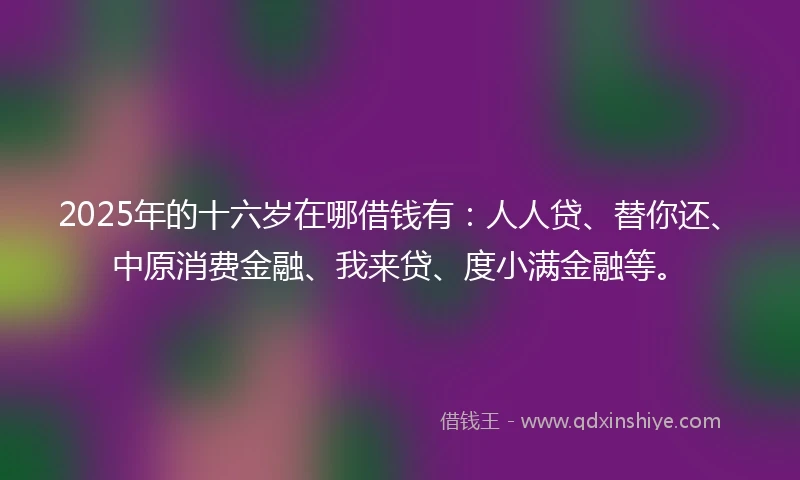 2025年的十六岁在哪借钱有：人人贷、替你还、中原消费金融、我来贷、度小满金融等。