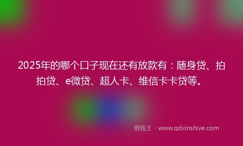 2025年的哪个口子现在还有放款有：随身贷、拍拍贷、e微贷、超人卡、维信卡卡贷等。