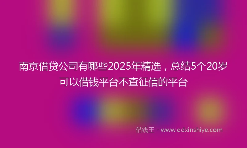 南京借贷公司有哪些2025年精选，总结5个20岁可以借钱平台不查征信的平台