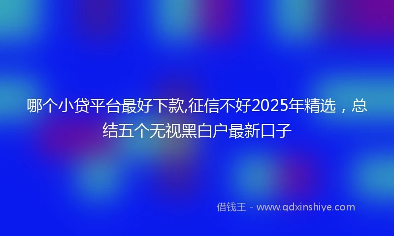 哪个小贷平台最好下款,征信不好2025年精选，总结五个无视黑白户最新口子