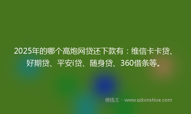2025年的哪个高炮网贷还下款有：维信卡卡贷、好期贷、平安i贷、随身贷、360借条等。