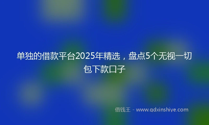 单独的借款平台2025年精选，盘点5个无视一切包下款口子