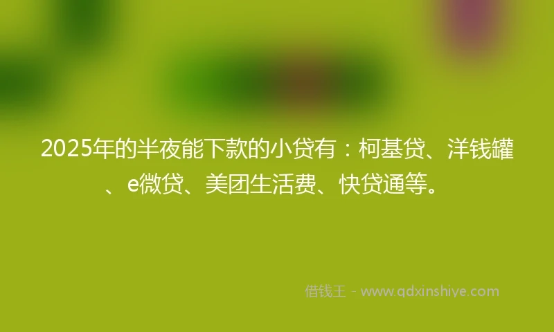 2025年的半夜能下款的小贷有：柯基贷、洋钱罐、e微贷、美团生活费、快贷通等。