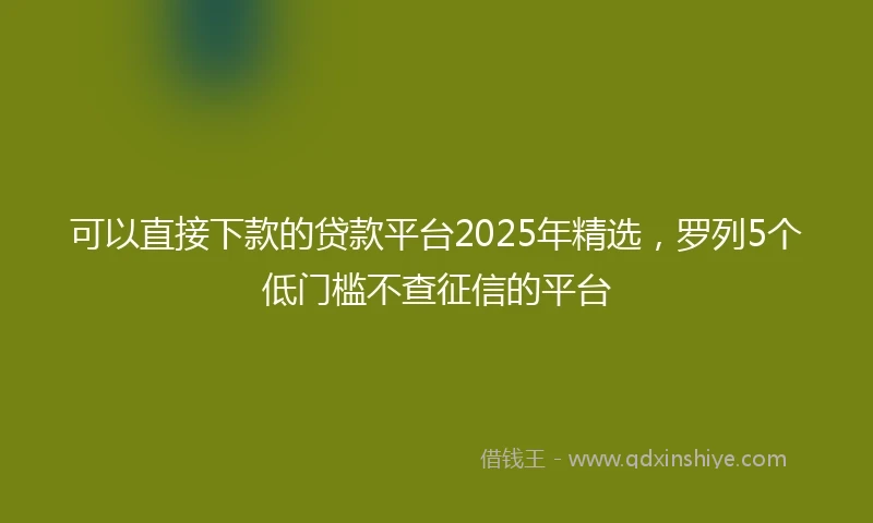 可以直接下款的贷款平台2025年精选,罗列5个低门槛不查征信的平台