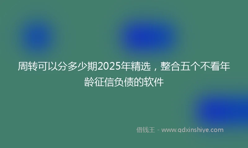 周转可以分多少期2025年精选，整合五个不看年龄征信负债的软件