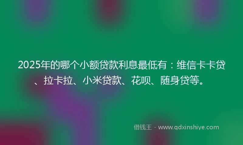 2025年的哪个小额贷款利息最低有:维信卡卡贷、拉卡拉、小米贷款、花呗、随身贷等。