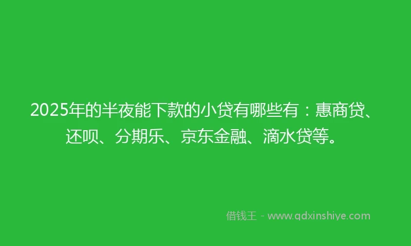 2025年的半夜能下款的小贷有哪些有：惠商贷、还呗、分期乐、京东金融、滴水贷等。