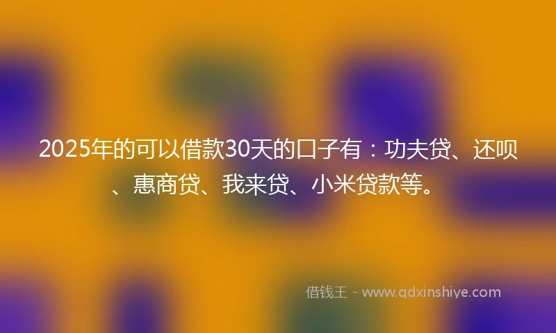 2025年的可以借款30天的口子有：功夫贷、还呗、惠商贷、我来贷、小米贷款等。