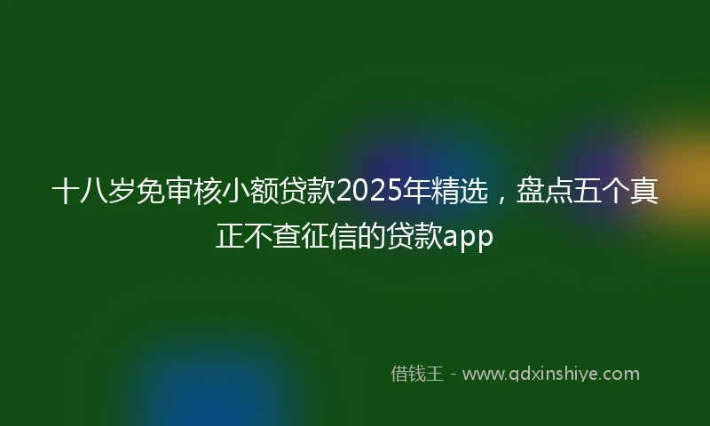 十八岁免审核小额贷款2025年精选，盘点五个真正不查征信的贷款app