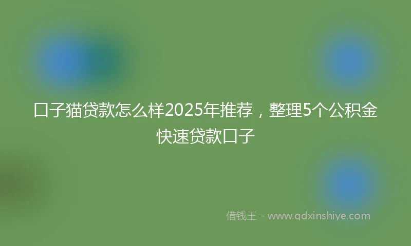 口子猫贷款怎么样2025年推荐，整理5个公积金快速贷款口子