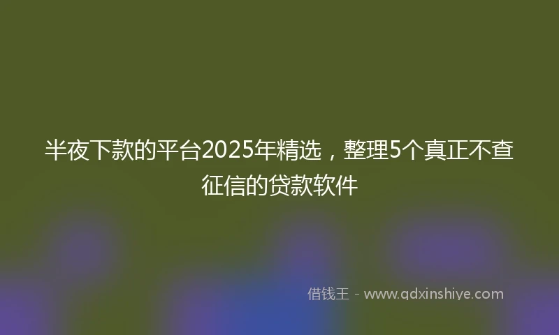 半夜下款的平台2025年精选，整理5个真正不查征信的贷款软件