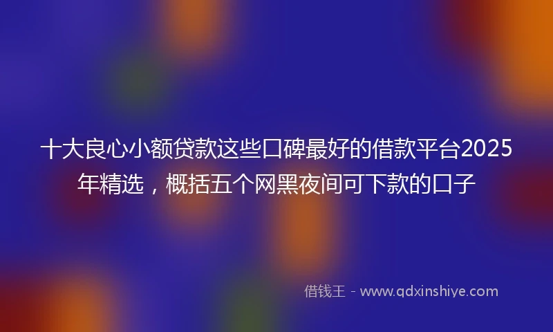 十大良心小额贷款这些口碑最好的借款平台2025年精选，概括五个网黑夜间可下款的口子