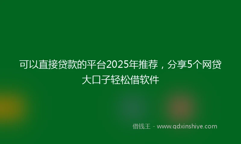 可以直接贷款的平台2025年推荐，分享5个网贷大口子轻松借软件