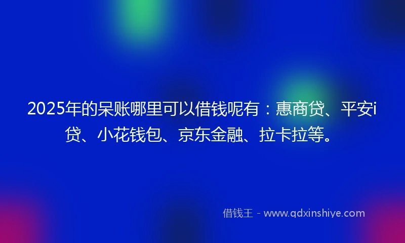 2025年的呆账哪里可以借钱呢有：惠商贷、平安i贷、小花钱包、京东金融、拉卡拉等。
