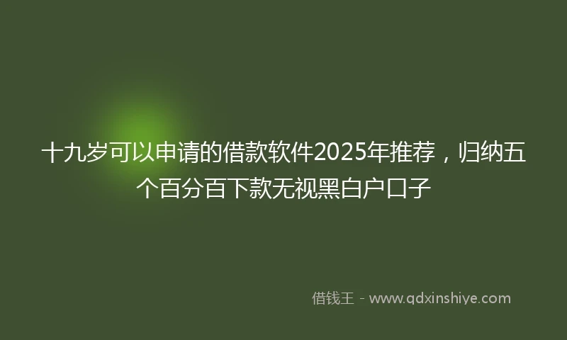 十九岁可以申请的借款软件2025年推荐，归纳五个百分百下款无视黑白户口子