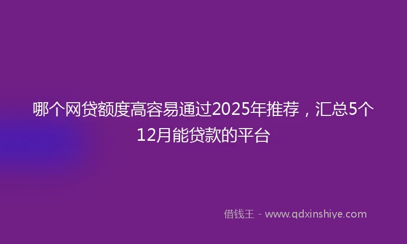 哪个网贷额度高容易通过2025年推荐，汇总5个12月能贷款的平台