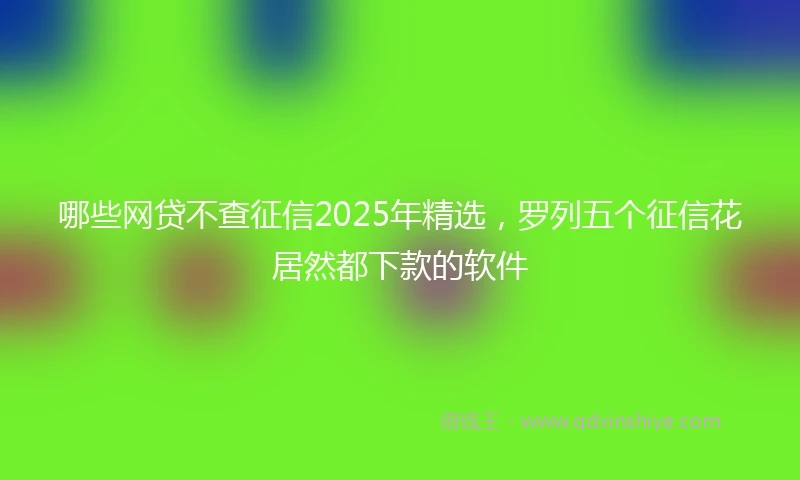哪些网贷不查征信2025年精选,罗列五个征信花居然都下款的软件