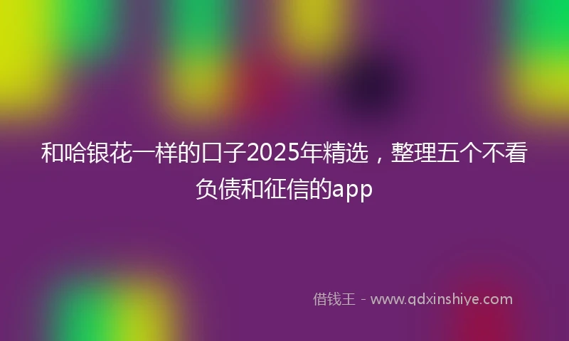 和哈银花一样的口子2025年精选，整理五个不看负债和征信的app