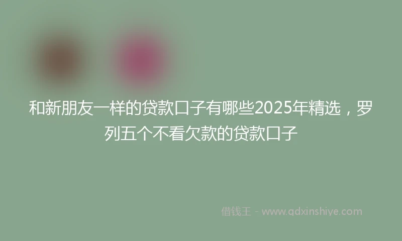和新朋友一样的贷款口子有哪些2025年精选，罗列五个不看欠款的贷款口子