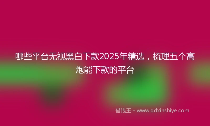 哪些平台无视黑白下款2025年精选，梳理五个高炮能下款的平台
