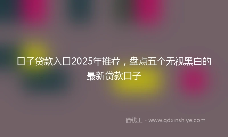 口子贷款入口2025年推荐，盘点五个无视黑白的最新贷款口子