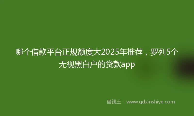 哪个借款平台正规额度大2025年推荐，罗列5个无视黑白户的贷款app