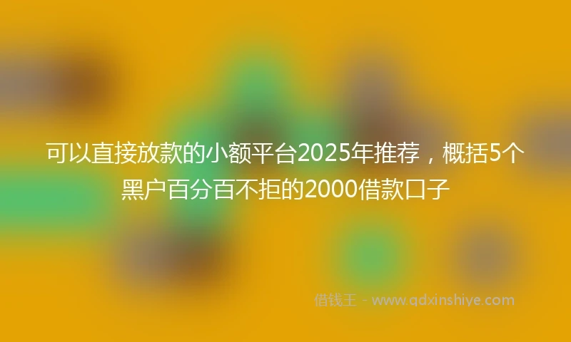 可以直接放款的小额平台2025年推荐，概括5个黑户百分百不拒的2000借款口子