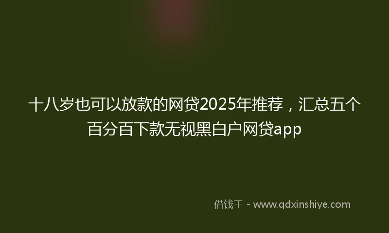 十八岁也可以放款的网贷2025年推荐，汇总五个百分百下款无视黑白户网贷app