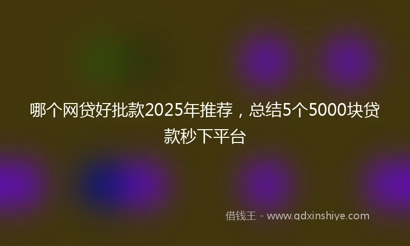 哪个网贷好批款2025年推荐，总结5个5000块贷款秒下平台