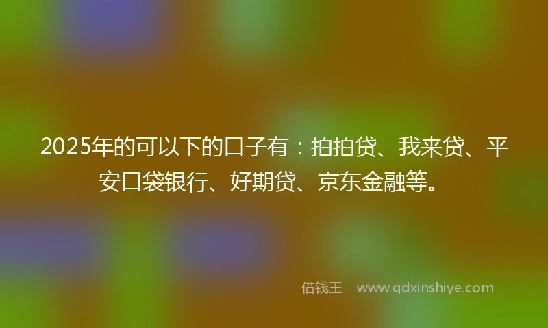 2025年的可以下的口子有：拍拍贷、我来贷、平安口袋银行、好期贷、京东金融等。