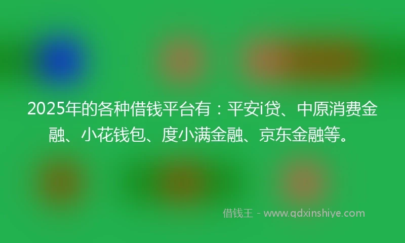2025年的各种借钱平台有：平安i贷、中原消费金融、小花钱包、度小满金融、京东金融等。