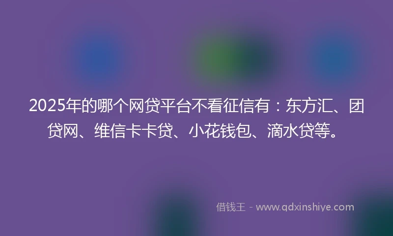 2025年的哪个网贷平台不看征信有：东方汇、团贷网、维信卡卡贷、小花钱包、滴水贷等。