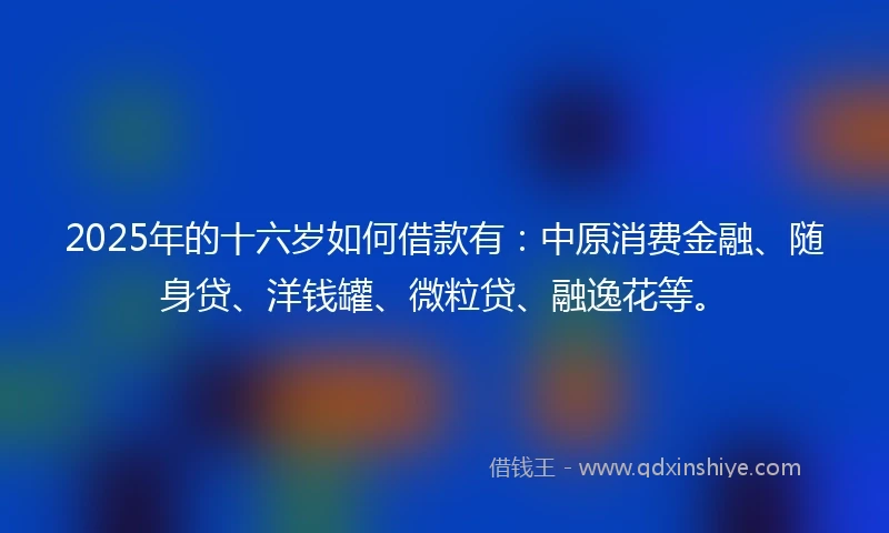 2025年的十六岁如何借款有：中原消费金融、随身贷、洋钱罐、微粒贷、融逸花等。