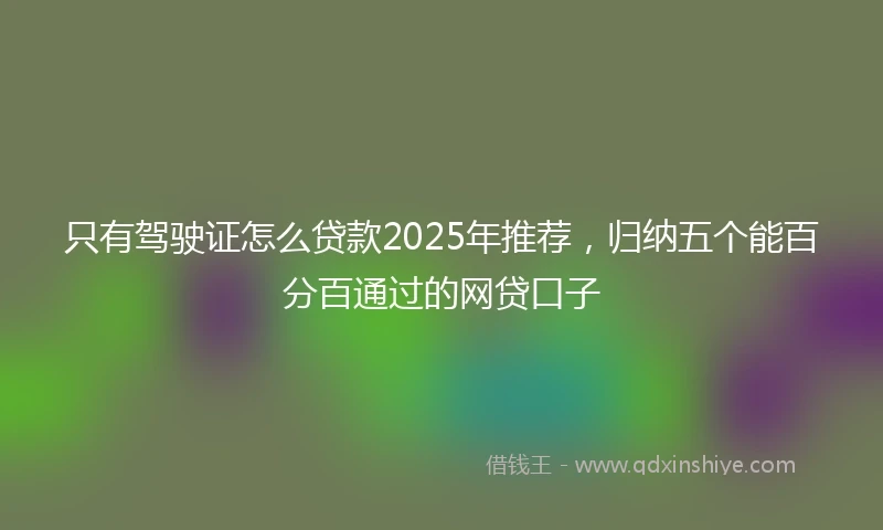 只有驾驶证怎么贷款2025年推荐，归纳五个能百分百通过的网贷口子