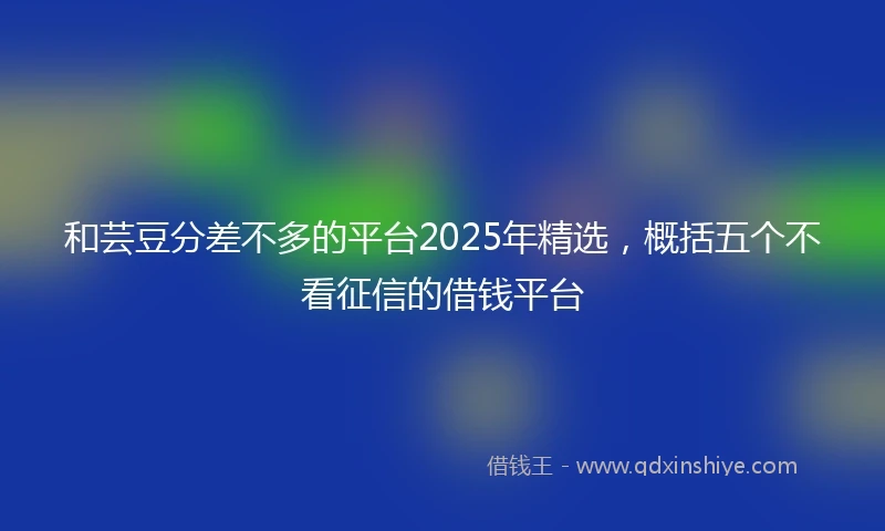 和芸豆分差不多的平台2025年精选，概括五个不看征信的借钱平台