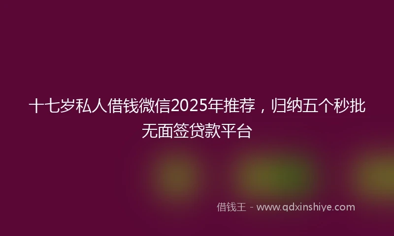 十七岁私人借钱微信2025年推荐，归纳五个秒批无面签贷款平台